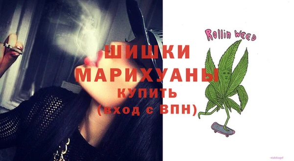 крисы Вязники