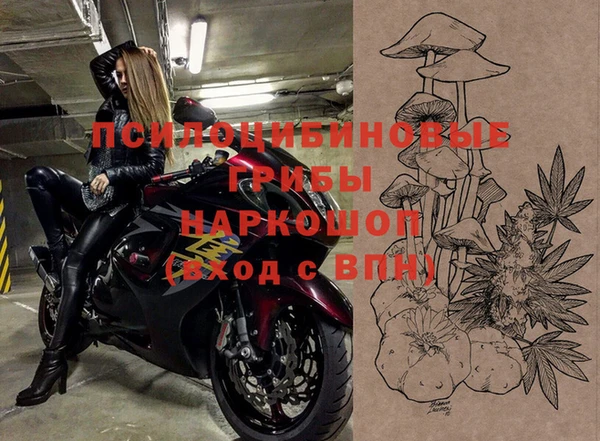 крисы Вязники