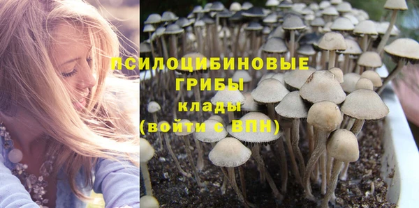 хмурый Вязьма