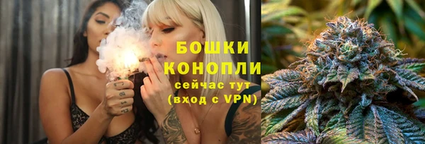 крисы Вязники