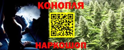 прущие грибы Малоярославец