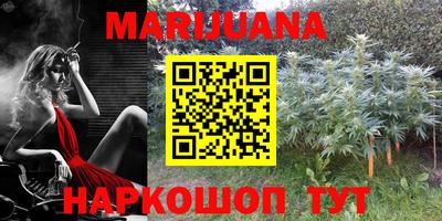 прущие грибы Малоярославец