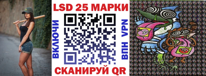 даркнет сайт  Каменск-Уральский  Марки 25I-NBOMe 1500мкг 