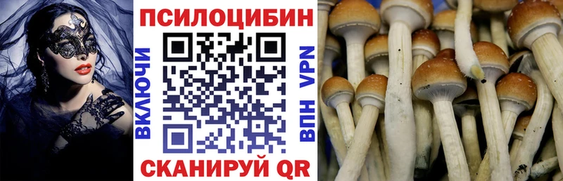 Галлюциногенные грибы Cubensis  Каменск-Уральский 