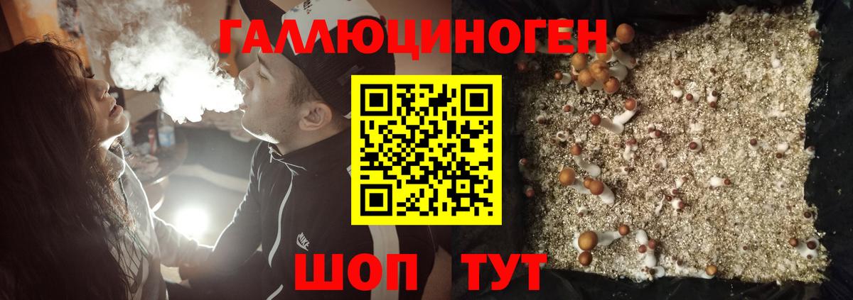 Галлюциногенные грибы мухоморы  Вход с VPN  продажа наркотиков  Каменск-Уральский 